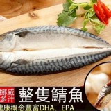 日本鯖魚一夜干 200~400g 特價：$69