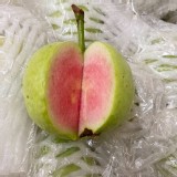 紅鑽石紅心芭樂 1公斤