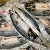 🐟挪威一夜干鯖魚*10 特價：$70