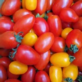 紅黃配(綜合各半)