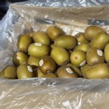 黃金奇異果-6顆 特價：$90