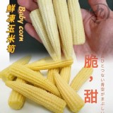 冷凍玉米筍 1KG