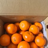 澳洲無籽砂糖橘3斤裝禮盒