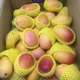 蜜雪芒果 一組10顆