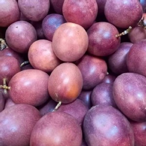 紫樽百香果 2斤(1200g) 一袋 特價：$105