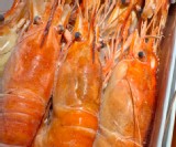 泰國原裝進口熟凍羅氏蝦🇹🇭