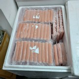 台畜大熱狗10入