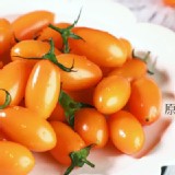 金瑩小蕃茄5斤裝