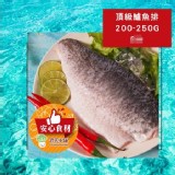 頂級菲力金目鱸魚片