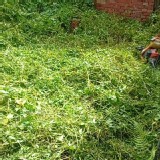 奇美高雄右昌區人力仲介派遣房屋垃圾家具清除打石拆裝潢臨時工除0989231474