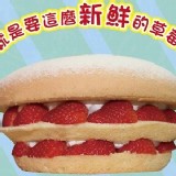 6吋草莓波士頓派(巧克力)