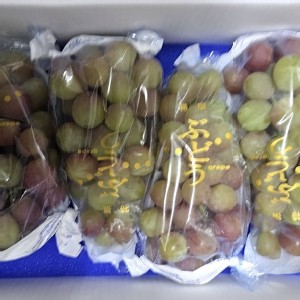 翠玉葡萄 特價：$800