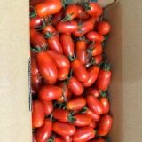 玉女小番茄-5斤