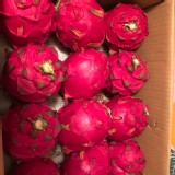 紅肉火龍果10斤