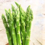 雲林在地有機盧筍