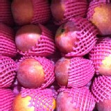 愛文芒果ㄧ箱10斤