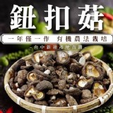 台中新社產地直銷鈕扣菇