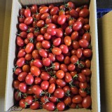 小番茄5斤(聖女/聖岱品種隨機)