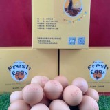 紅蛋4斤/箱
