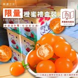 美濃李爸特甜橙蜜番茄