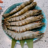 《全職媽媽宅經濟》大草蝦❤️6隻400克❤️火鍋批發零售costco烤肉露營賣場個尺寸鮮蝦都有肥豬蝦手臂蝦干貝生蠔