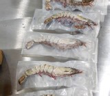 《全職媽宅經濟》 媽媽副業❤️海草蝦 肥豬蝦❤️單隻真空包裝❤️團購 批發 下殺 Costco 水產 搶購 限時 烤肉