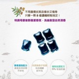 南王超濃縮 無患子液體肥皂膠囊