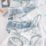 清新少女三角蕾絲綿內褲(一組5件)