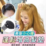 蓬鬆增高髮墊2入