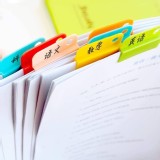 馬卡龍色隨意夾(一卡6入)