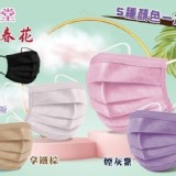 平面滿版全色系醫療口罩【一盒5色，每色10片】