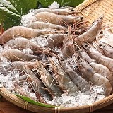 超大盒活凍生白蝦