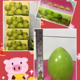 金桃棗子5斤袋裝