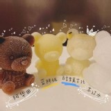 小熊冰塊專模具一組兩個