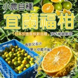 小農自種台灣宜蘭福柑(5台斤/盒)