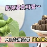 印加果油罐裝-60顆入