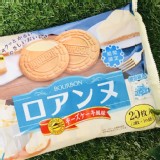 北日本乳酪起司蛋糕風味法蘭酥/20枚入