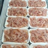 ✨海捕澎湖甜蝦仁🍤 ✨真空包 -