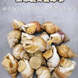 愛爾蘭野生熟凍海螺 彩袋夾鏈袋裝 500克/包 （約23-30顆）
