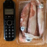 🦑🦑東北角野生中脆捲300克