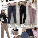 高磅萊卡夏日中大版