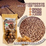 台灣🇹🇼古法烘培 純手工柴燒 東山帶殼龍眼乾/180g