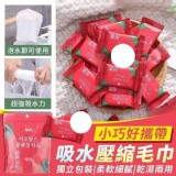 許願出去玩很需要🏠吸水壓縮毛巾（約100顆）