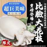 【巨無霸超大花枝】 600-800g
