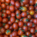 台灣美女小番茄600克/盒🍅（2盒一組）