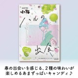 日本🇯🇵春之邂逅 小梅X白葡萄糖/60g