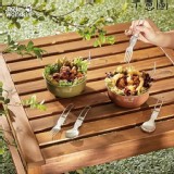 飛狼 居遊不鏽鋼玩色個人野營組（山綠）