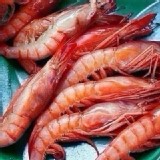 生食級大頭甜蝦 重量：1000克/盒