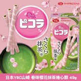日本YBC山崎 春味櫻花抹茶捲心酥 49g《一組兩盒》