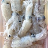 火槍魷脆卷250克